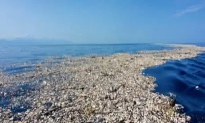 River Recycle Crowdinvesting