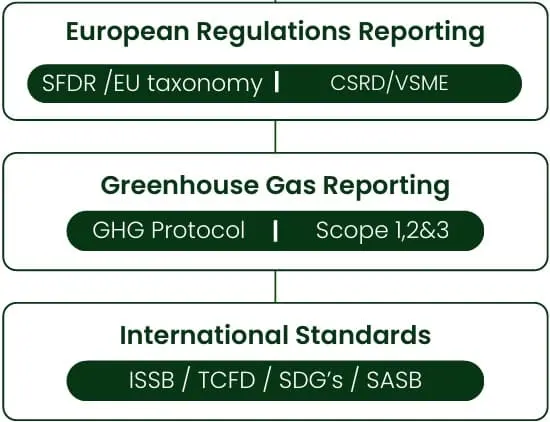 Fingreen AI Regulation