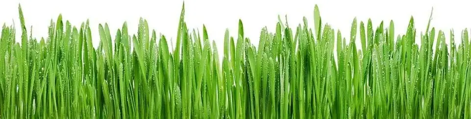 Mit fingreen.de innovativ investieren.